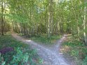 2014-09-15 11-31-18 Sur les rives du Bourdon MBo